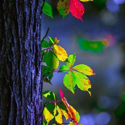 云开·全站(kaiyun)