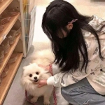 电子mg官方网站